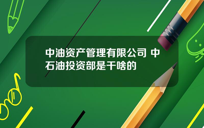 中油资产管理有限公司 中石油投资部是干啥的